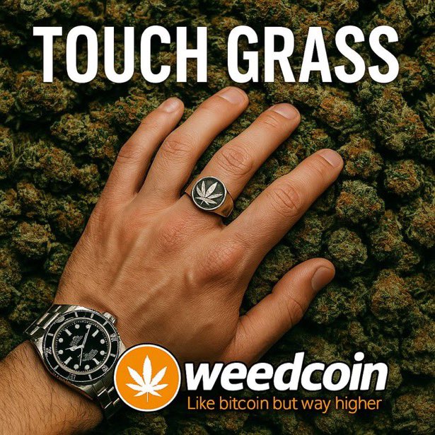 Zen 🌿☮️ tweet media