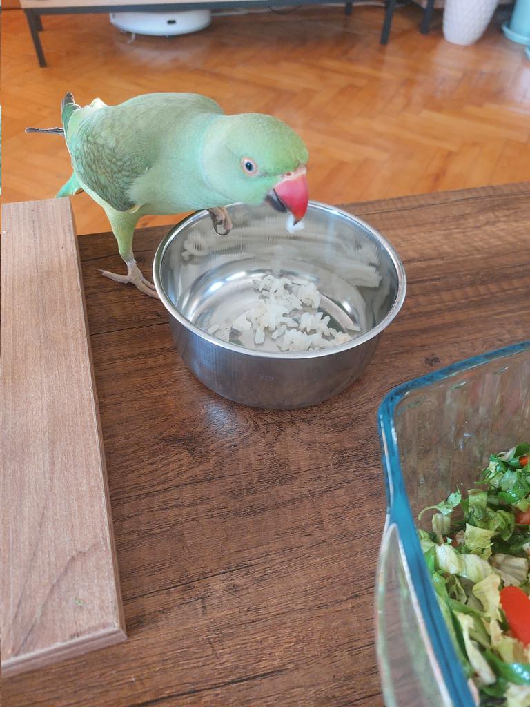 Bu çocuk aşırı hintli ya