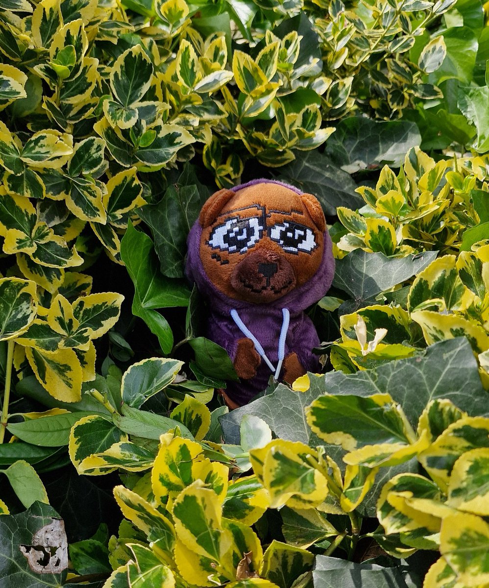 CryptoIranian's tweet photo. Grrr Spotted in da wild, these pocket sized Memosapiens are extremely rare and supa #SMOWL plushie https://t.co/p3tpeioliB