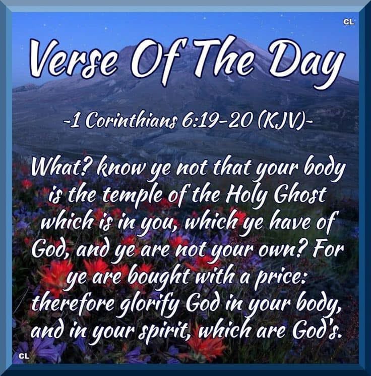 Sir_Charlsss Unchained! (@sir_charlsss) on Twitter photo What? Know ye not ……
✝️2194✝️ <a href="/mombelieves/">MomBelieves</a>
<a href="/soli_Jesum/">Charles Johnson 🇺🇸⚓️</a>
<a href="/ReHeitmann/">Re</a> <a href="/5mm7gdsj9y/">John✝️🇺🇸</a>
<a href="/CatahoulaT/">Catahoula Leopard Dog</a>
<a href="/southernmsgurl/">_brandy_</a>
<a href="/RodneyHoo/">Rodney Johnson</a>
<a href="/EmSS_4/">EmSS</a>
<a href="/JrMintNite/">MintPatty</a>
<a href="/drillmastermom2/">Robin Smith</a>
<a href="/TruthbetoldUC/">UC?</a>
✝️🙏🏻✝️🙏🏻✝️🙏🏻✝️
<a href="/Saltlife177/">Saltlife1👠</a>
<a href="/JanetTX_Blessed/">🕊️Grateful Heart🕊️</a>
<a href="/SavvyHuman/">GG Smiles</a>
<a href="/PAYthe_PIPER/">PIPER #MAGA GAINS</a>
<a href="/BillH1059/">Billtopper</a>
<a href="/RedRidingHoodKS/">𝓟𝓮𝓷𝓷𝔂 ᥫ᭡</a> What? Know ye not ……
✝️2194✝️ <a href="/mombelieves/">MomBelieves</a>
<a href="/soli_Jesum/">Charles Johnson 🇺🇸⚓️</a>
<a href="/ReHeitmann/">Re</a> <a href="/5mm7gdsj9y/">John✝️🇺🇸</a>
<a href="/CatahoulaT/">Catahoula Leopard Dog</a>
<a href="/southernmsgurl/">_brandy_</a>
<a href="/RodneyHoo/">Rodney Johnson</a>
<a href="/EmSS_4/">EmSS</a>
<a href="/JrMintNite/">MintPatty</a>
<a href="/drillmastermom2/">Robin Smith</a>
<a href="/TruthbetoldUC/">UC?</a>
✝️🙏🏻✝️🙏🏻✝️🙏🏻✝️
<a href="/Saltlife177/">Saltlife1👠</a>
<a href="/JanetTX_Blessed/">🕊️Grateful Heart🕊️</a>
<a href="/SavvyHuman/">GG Smiles</a>
<a href="/PAYthe_PIPER/">PIPER #MAGA GAINS</a>
<a href="/BillH1059/">Billtopper</a>
<a href="/RedRidingHoodKS/">𝓟𝓮𝓷𝓷𝔂 ᥫ᭡</a>