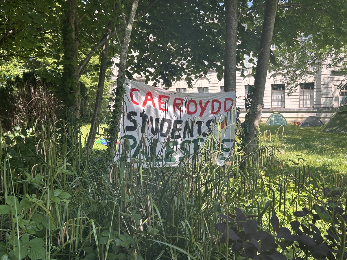 The GEM Collective tweet media