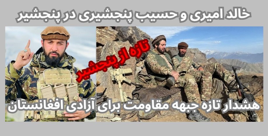 حـماد فـراهي| Hammad Farahi tweet media