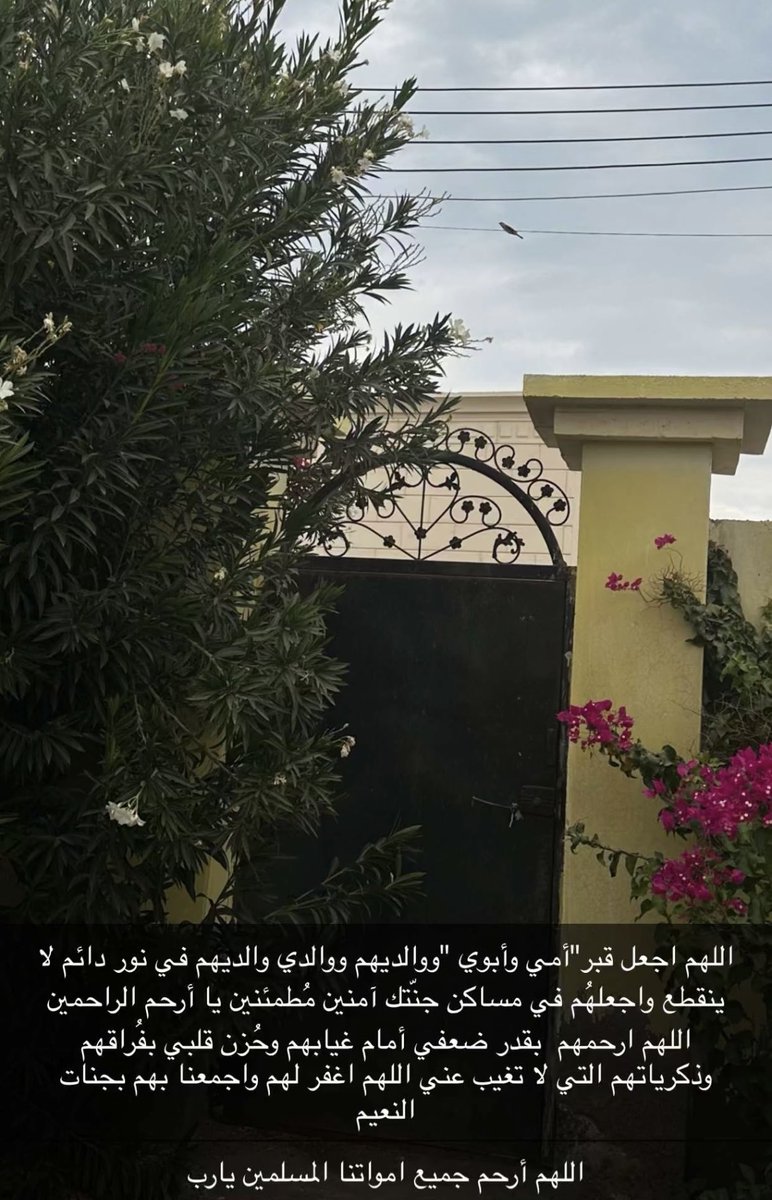 HAR_28's tweet photo. اللهم آمين اللهم صلى وسلم وبارك على سيدنا محمد 💔 https://t.co/jjn4TRLUsl