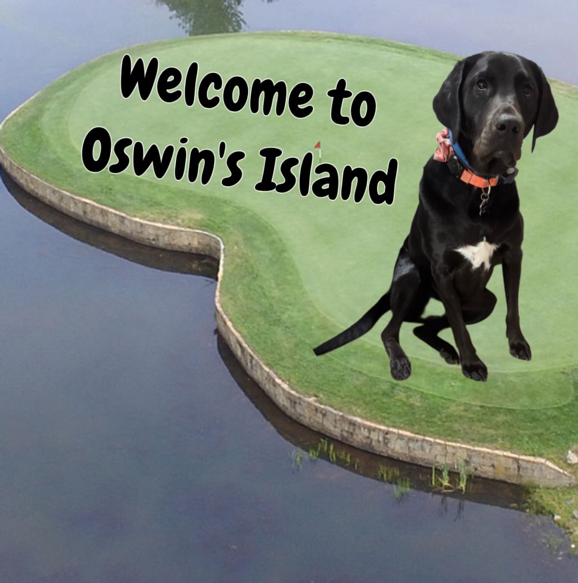 OswinCoolatta's tweet image. OSWIN ANNOU NC MENT

FOR YEER 2 IN ROW I AM T SPONSOR FOR #THEOUTING

THIS YEER OSWIN ISLAND FOR #THEOUTING2

VOTE OSWIN