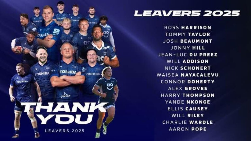 Sale Shark Bites tweet media