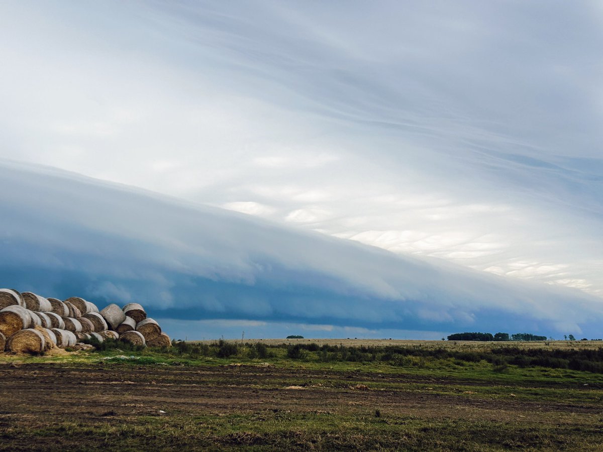 Tormenta dijeron por flores …
