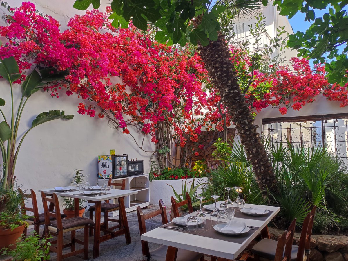 Rte es ventall tweet media