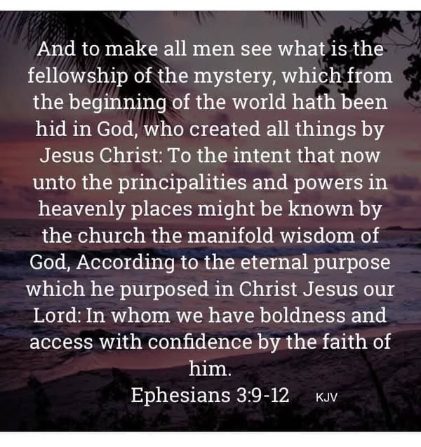 weglysr's tweet photo. Get up to date with Jesus.
Read your Bible today. Amen https://t.co/oF6njbTpZb