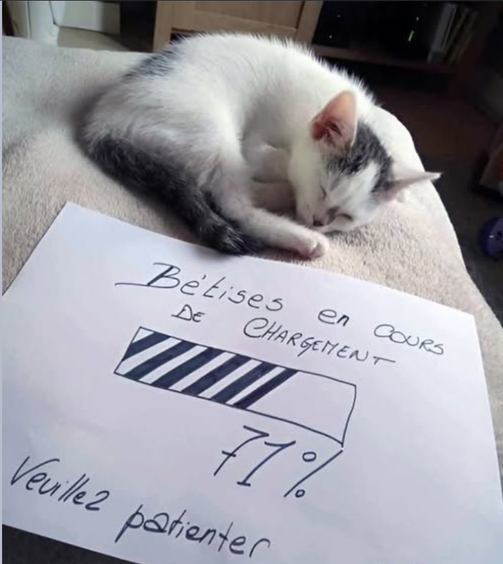 🅶🅾🆁🅺 tweet media