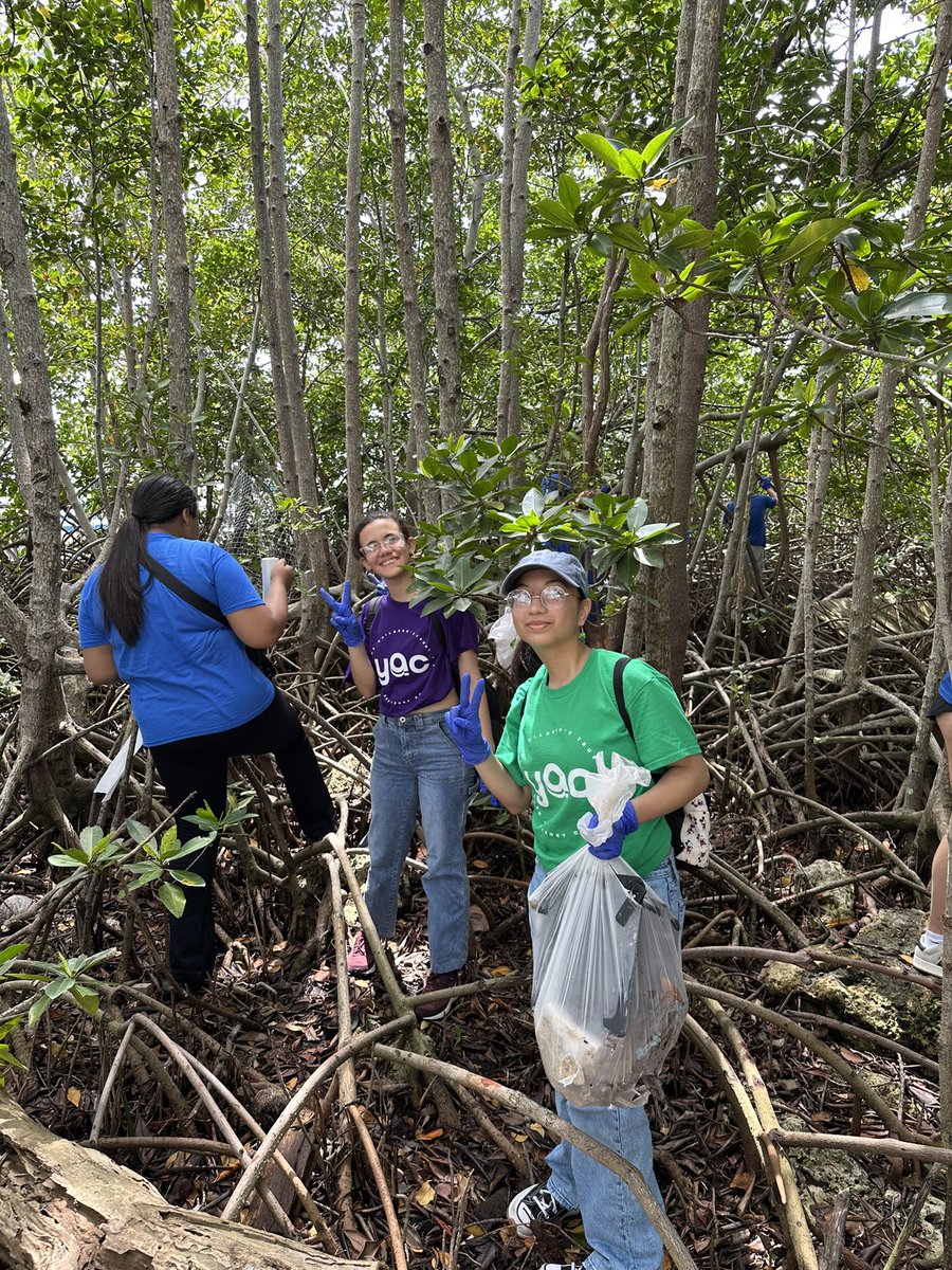 RidgeInteracts's tweet image. Service is beyond a school day and the classroom @Southridge_SHS
We are proud of our Spartans part of Interact & @childrenstrust Youth Advisory Committee #YAC leading service project all throughout Miami-Dade! Building learning libraries & supporting healthy mangroves