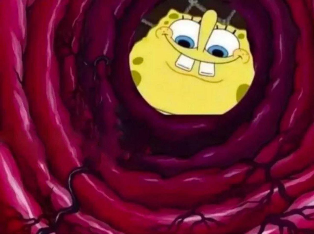 Yo viendo como le quedo la c0la luego de haberle metid0 hasta el pie