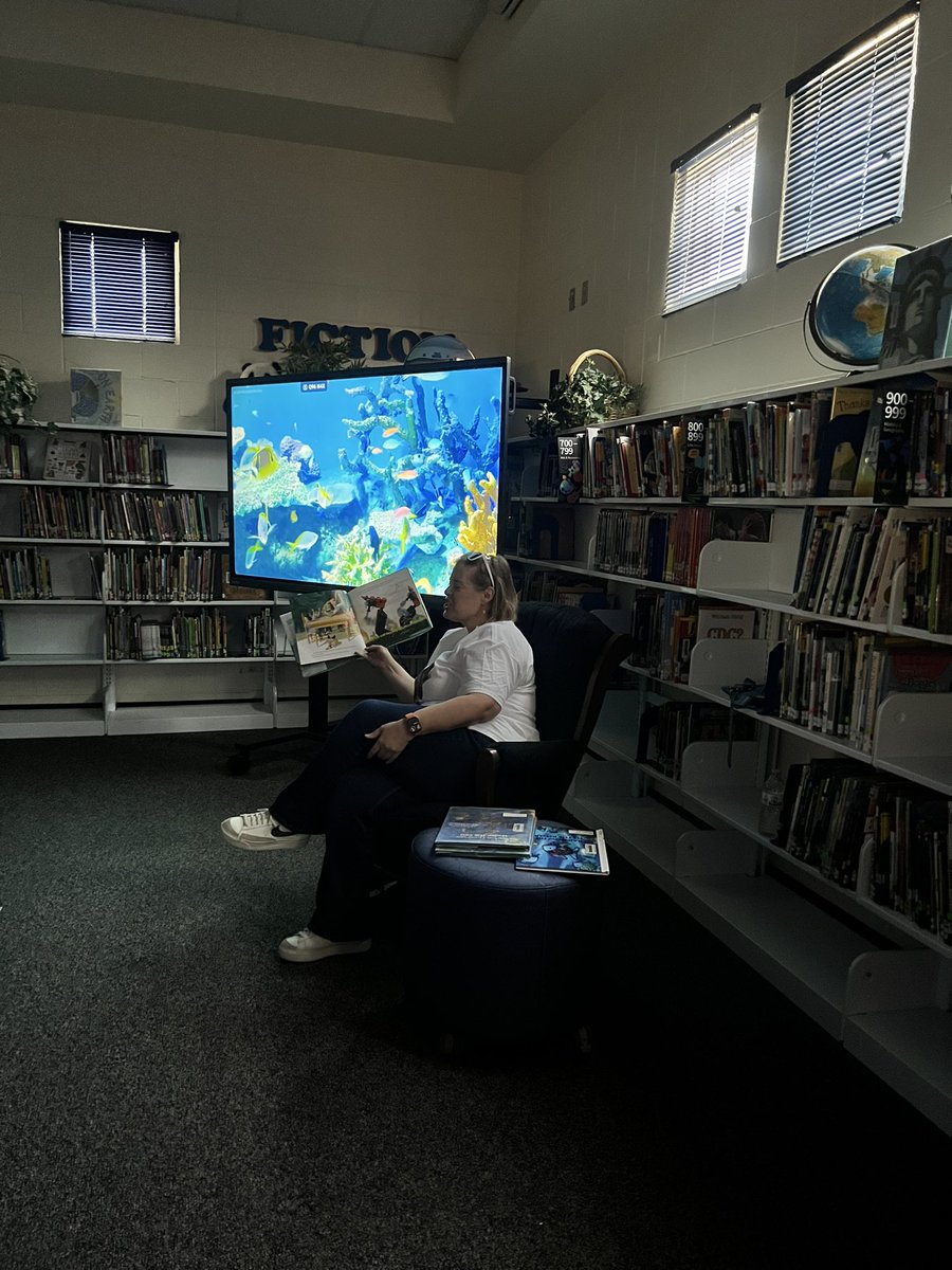 MesitaLibrary tweet media