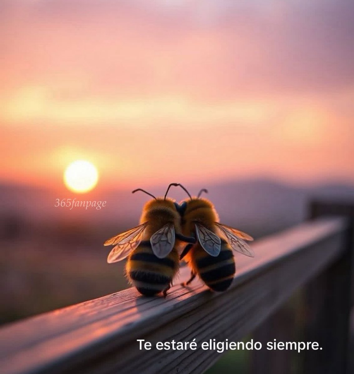 Dilo con dibujos (@dilocondibujos_) on Twitter photo 