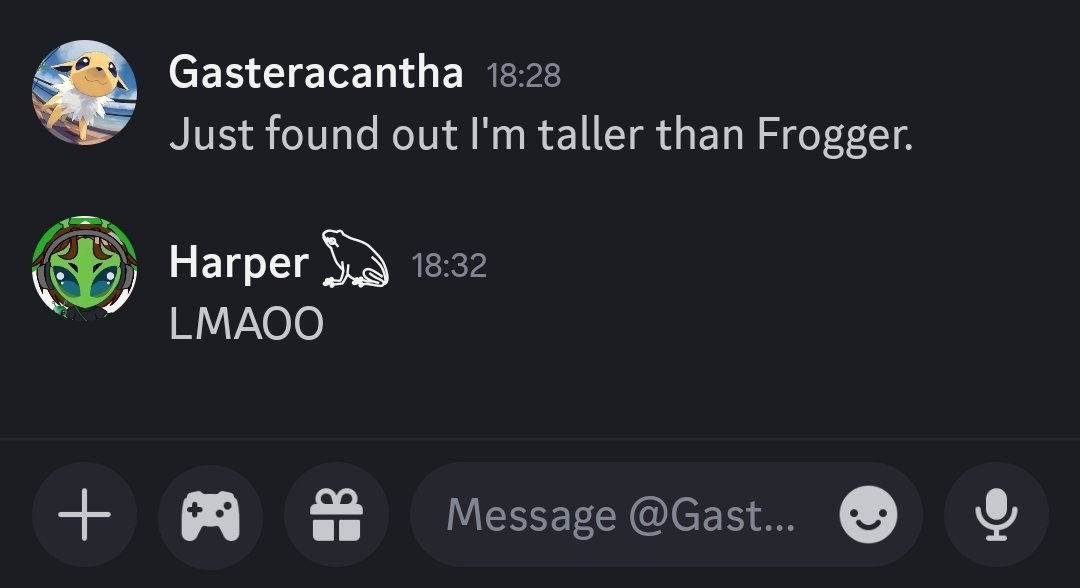 Harper || Birds among bears of bark and leaves tweet media