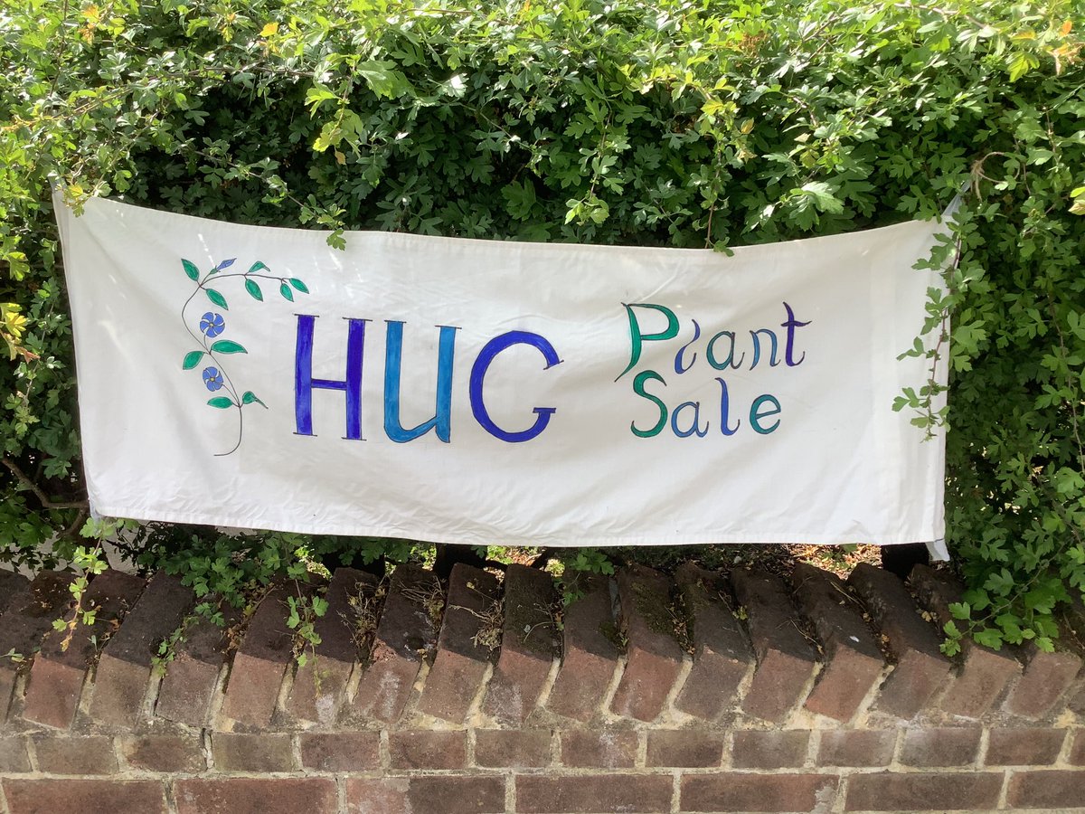 Mayor of Richmond tweet media