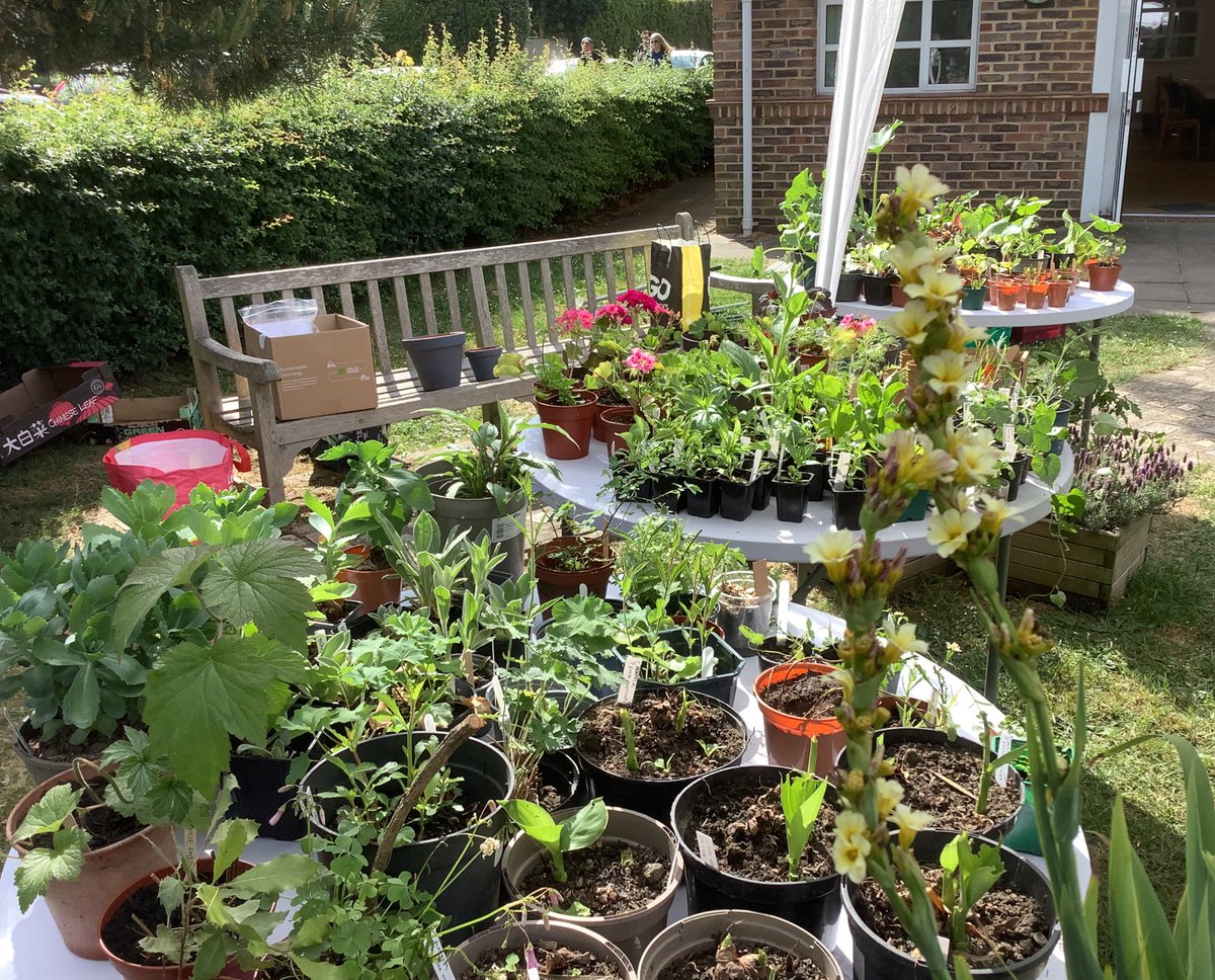 Mayor of Richmond tweet media