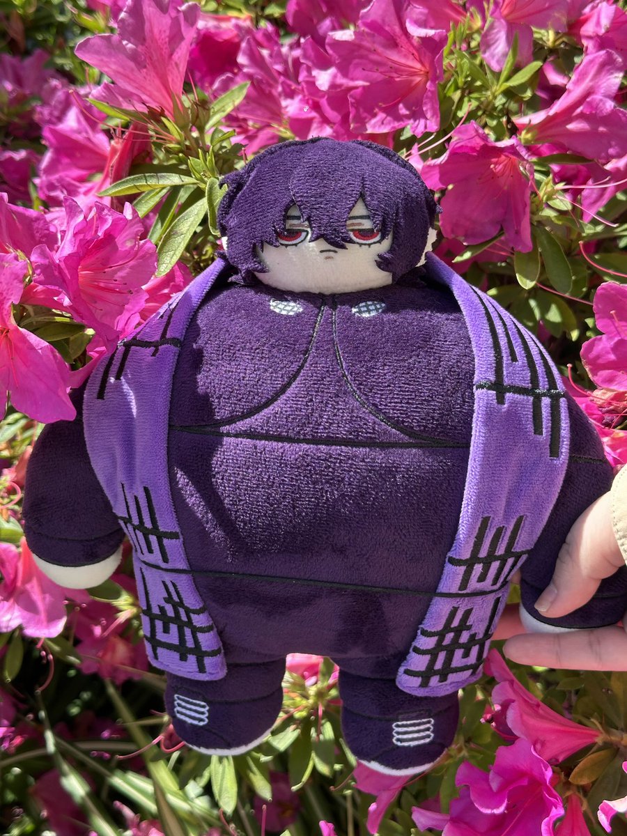 立花　熊熊 (Mellow) tweet media