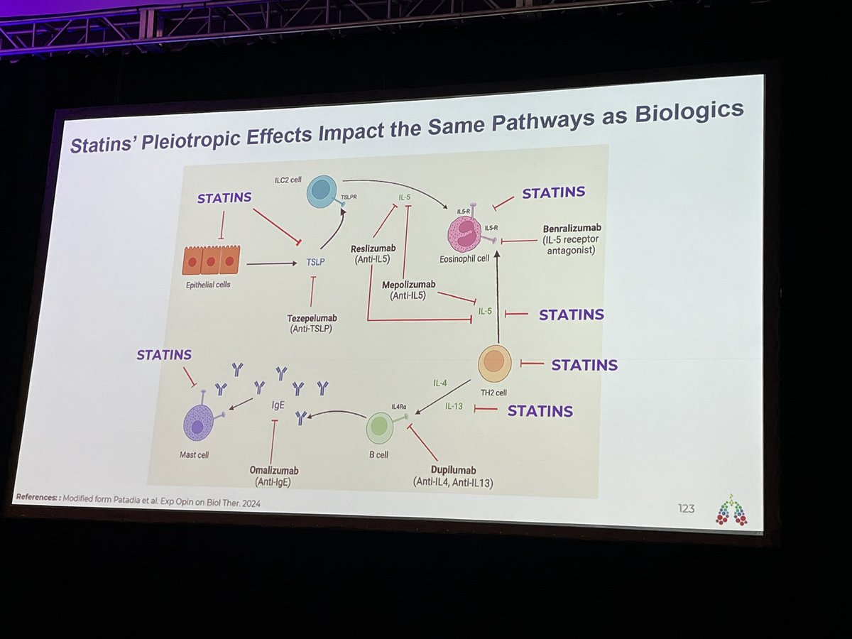 Now THIS is interesting; inhaled statins to treat asthma. Well I never.
