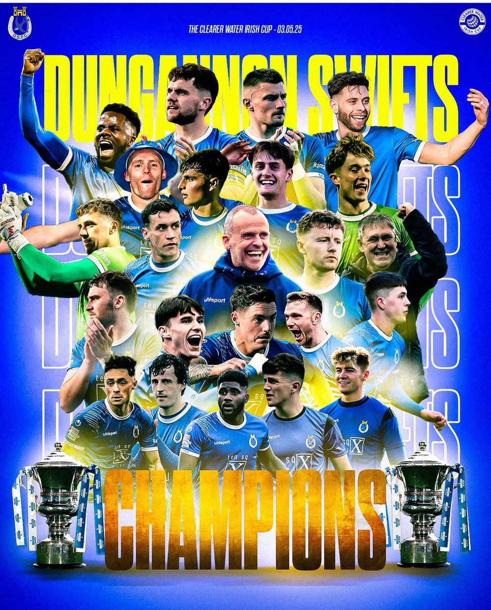 Dungannon Swifts FC tweet media