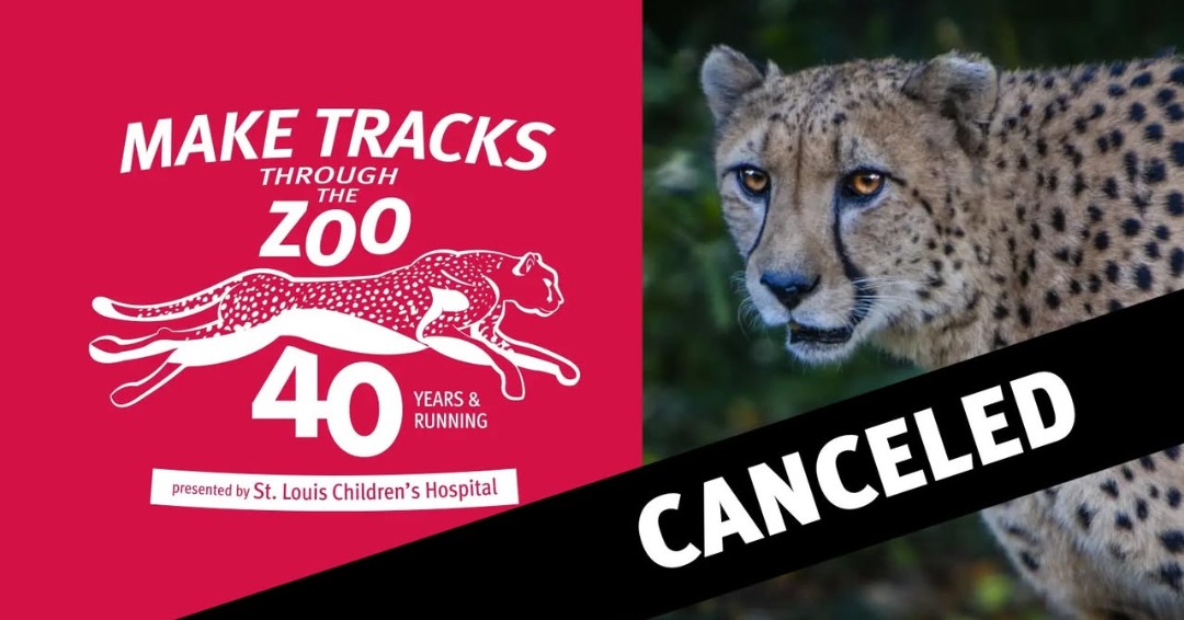 Due to storm damage at the Saint Louis Zoo and throughout Forest Park and in the interest of safety, the Zoo will remain closed today and all day tomorrow, Sunday, May 18.

This Sunday's Make Tracks Through the Zoo presented by St. Louis Children's Hospital is also canceled.