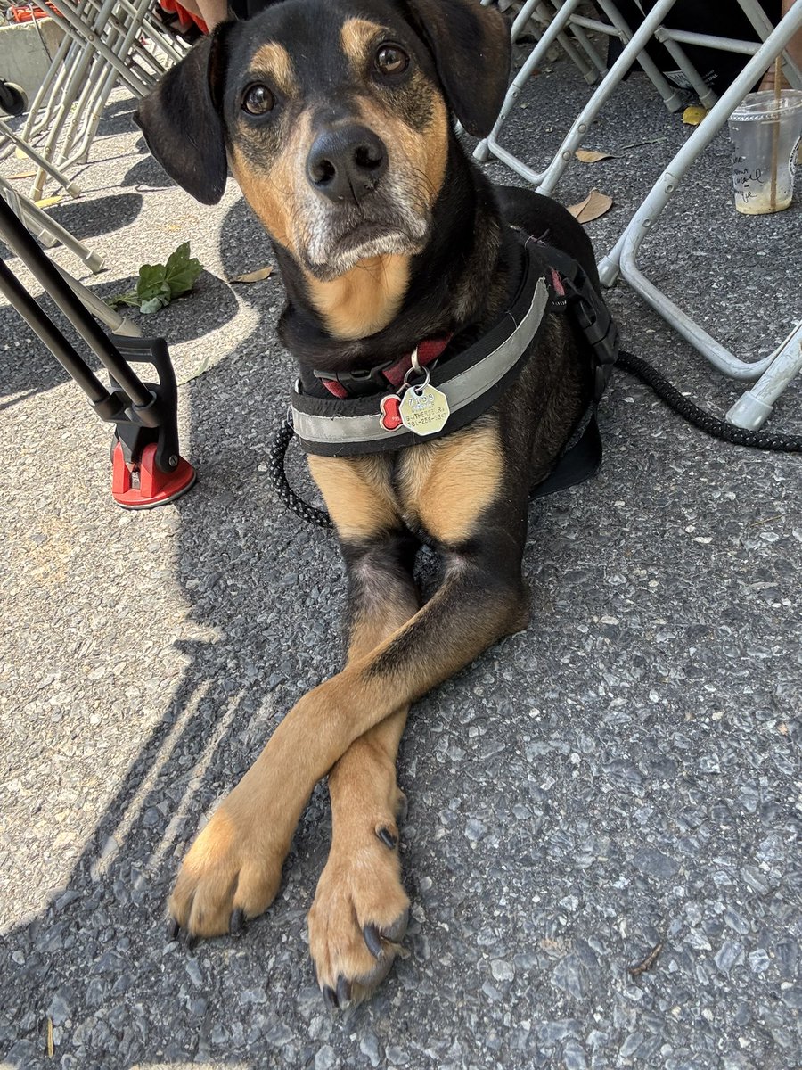 Join us Today. <a href="/GburgBookFest/">Gaithersburg Book Festival</a>. Weather is amazing!