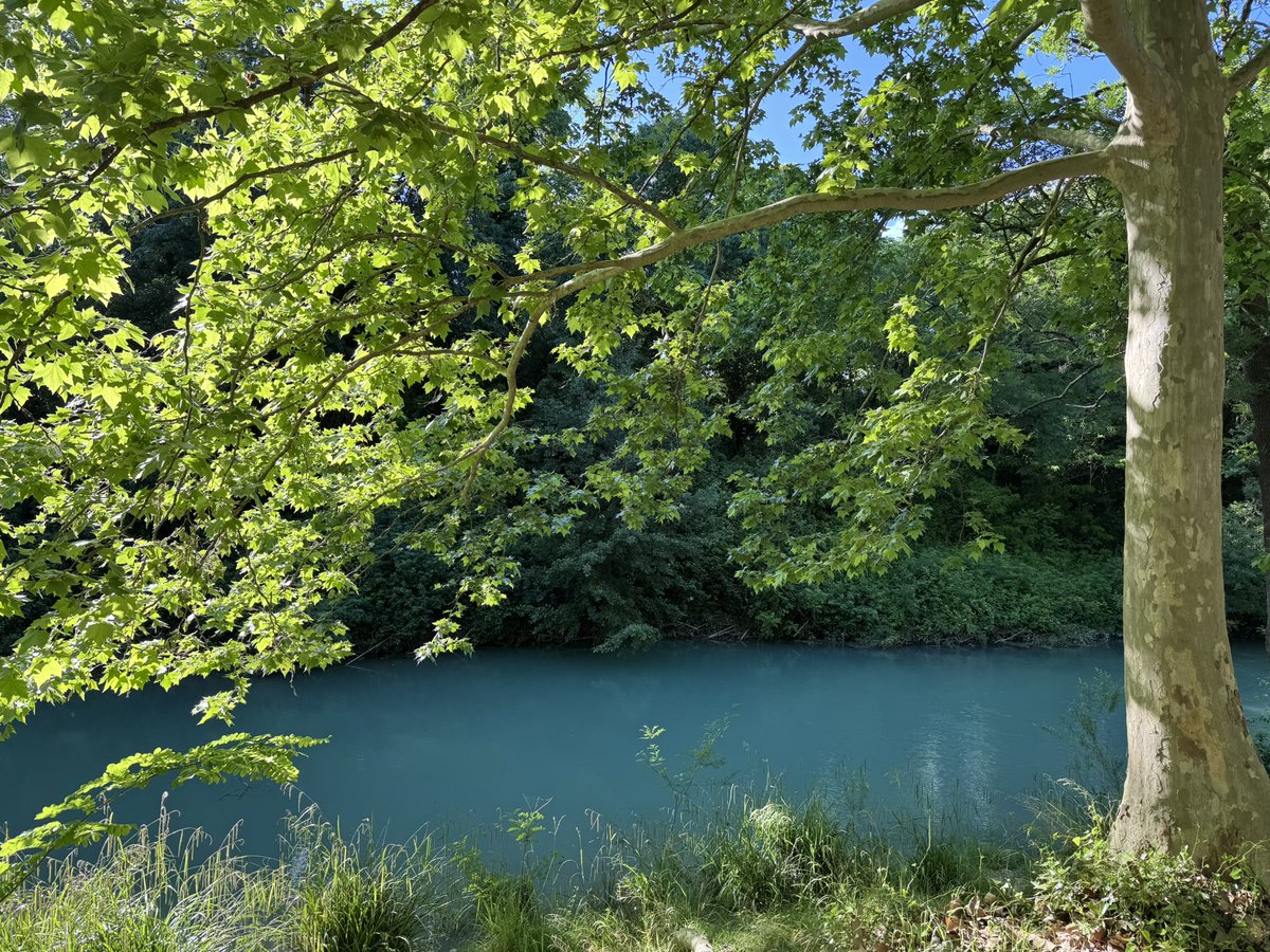 Julien Miro (@julienmiro) on Twitter photo 🟧🟩🟨🟦 La fête des couleurs à <a href="/CastelnauleLez/">Castelnau-le-Lez</a> : Super moment en famille sur les Berges du Lez. Quand on voit les familles et ce lieu magnifique cela me conforte dans l’idée qu’il faut le préserver et se battre contre le projet du maire de construire des centaines de logements💪🏻 🟧🟩🟨🟦 La fête des couleurs à <a href="/CastelnauleLez/">Castelnau-le-Lez</a> : Super moment en famille sur les Berges du Lez. Quand on voit les familles et ce lieu magnifique cela me conforte dans l’idée qu’il faut le préserver et se battre contre le projet du maire de construire des centaines de logements💪🏻
