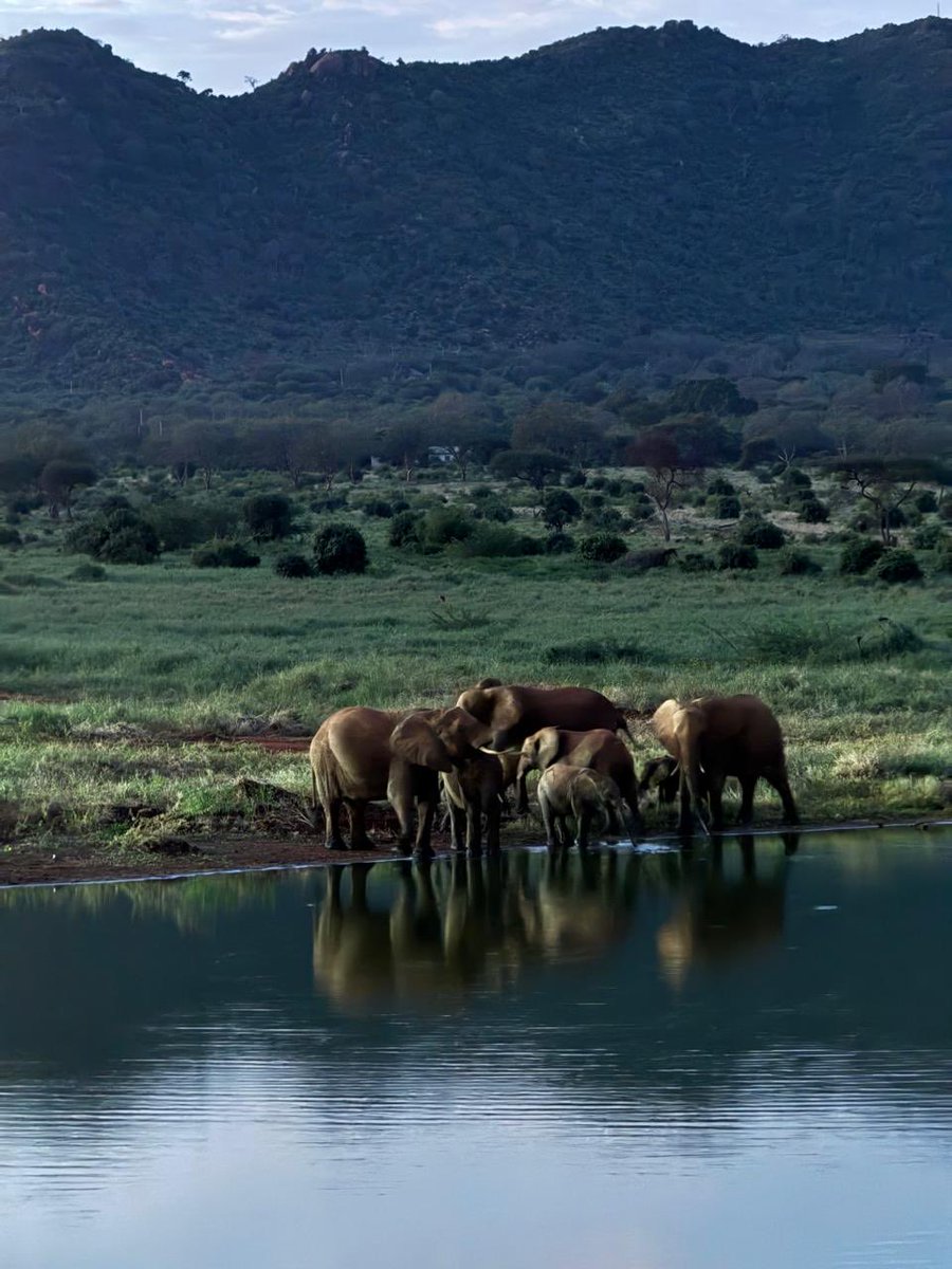 Voi, Taita Taveta, Kenya. Spectacular.
