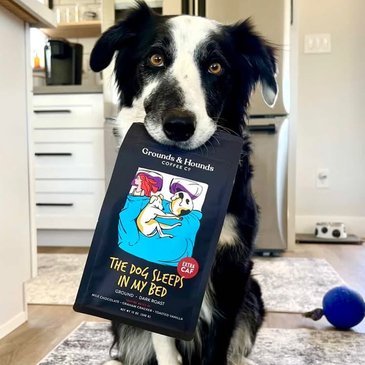 Special delivery! Courtesy of the cutest courier 🐶☕️📦 #ExtraCaf

📸: @laducb