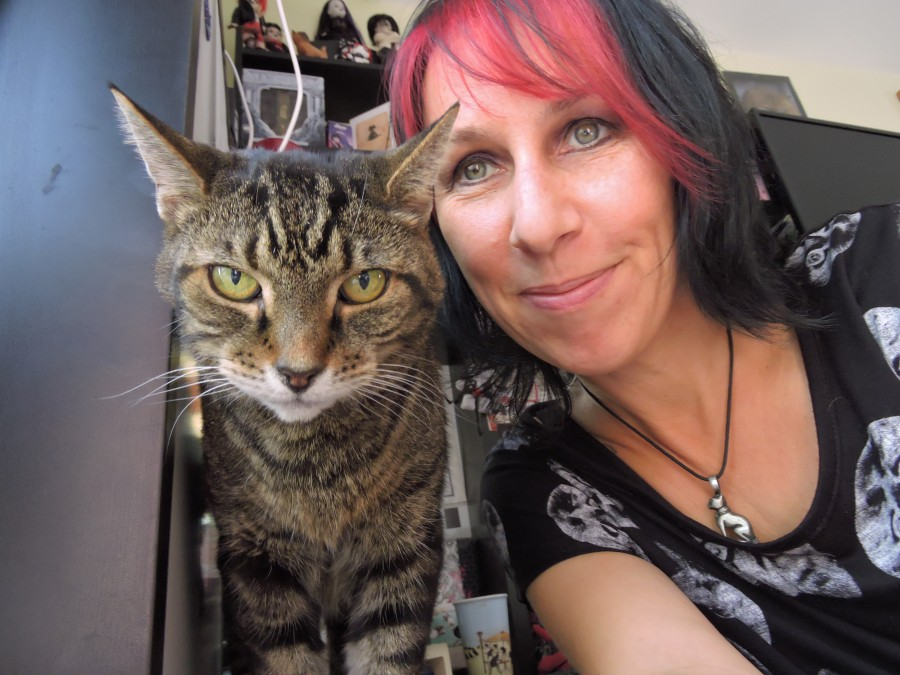 reportersalles's tweet photo. Casamentos em queda, divórcios em alta. A taxa de natalidade atingiu o menor nível em meio século no Brasil, enquanto cresce o número de separações. Cada vez mais lares com gatos e bonecas reborn, cada vez menos com crianças. A esquerda conseguiu destruir a sociedade? https://t.co/T8mJXW9i7K