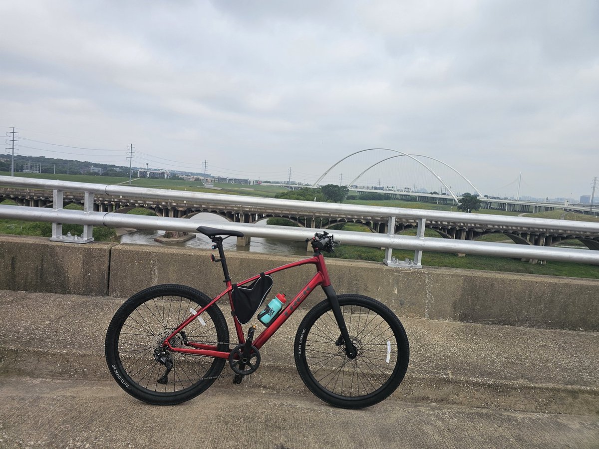 🪄♠️Tenkai Husky ♠️🪄 tweet media