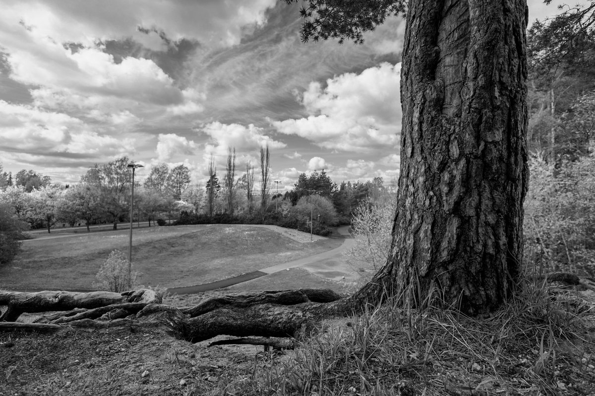 ptmaatta's tweet photo. Hiidenkiven puisto 
#finland #helsinki #park #landscapephotography https://t.co/BzOh8Mo3dQ