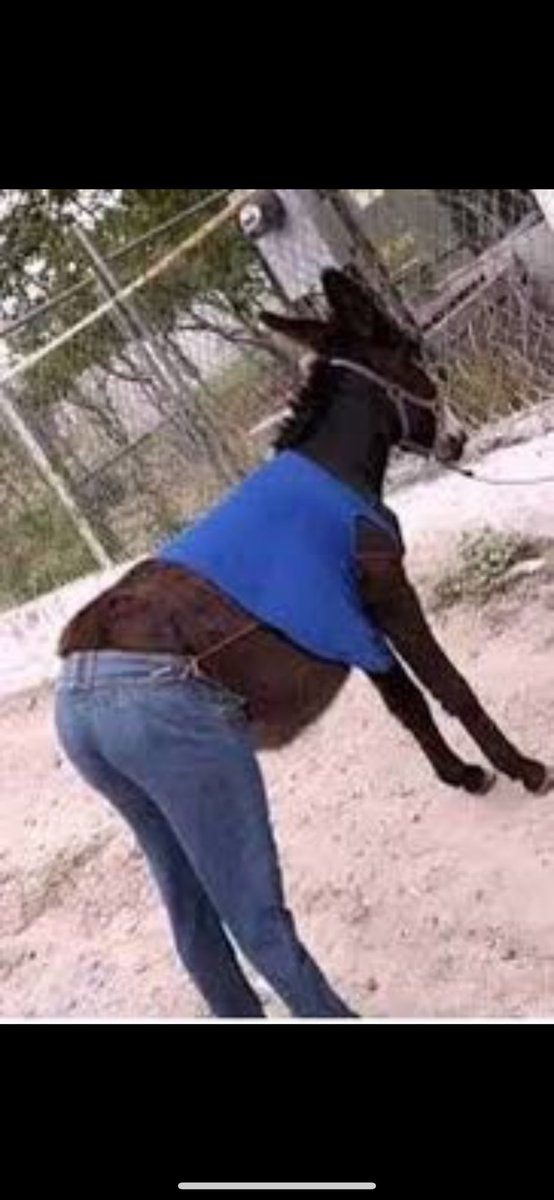 #نوال_تبي_تسلم_ع_محمد_بن_سلمان كشفت الحمله على السعوديه كميه من التفاهه في الشعب المصري لا تطاق كلهم يتكلمون  بنفس حقد محمد حسنين هيكل. السعوديه إلى الان كان هذه الحمله لا تعنيها خوفا على اقتصاد مصر المنهار. قبل يومين كنت اقول فخامة الرئيس والان اقول ياسيسي ضب حميرك.