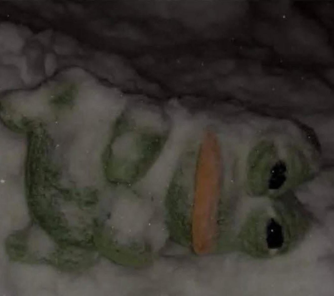 Christy4Change's tweet image. My vegetables in the freezer watching me grab another ice cream sandwich: