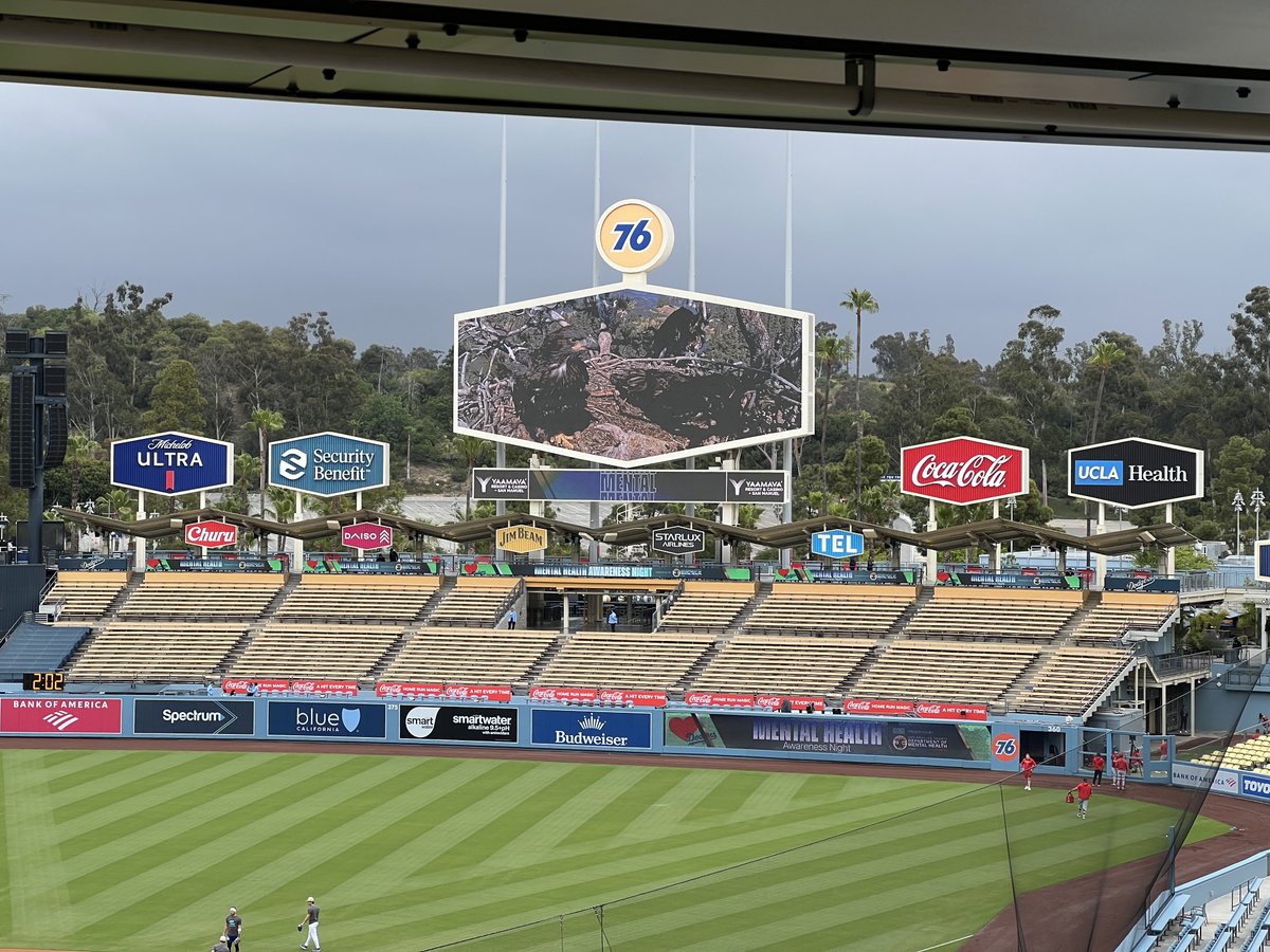 They’re showing the eagles in Big Bear at Dodger Stadium right now.