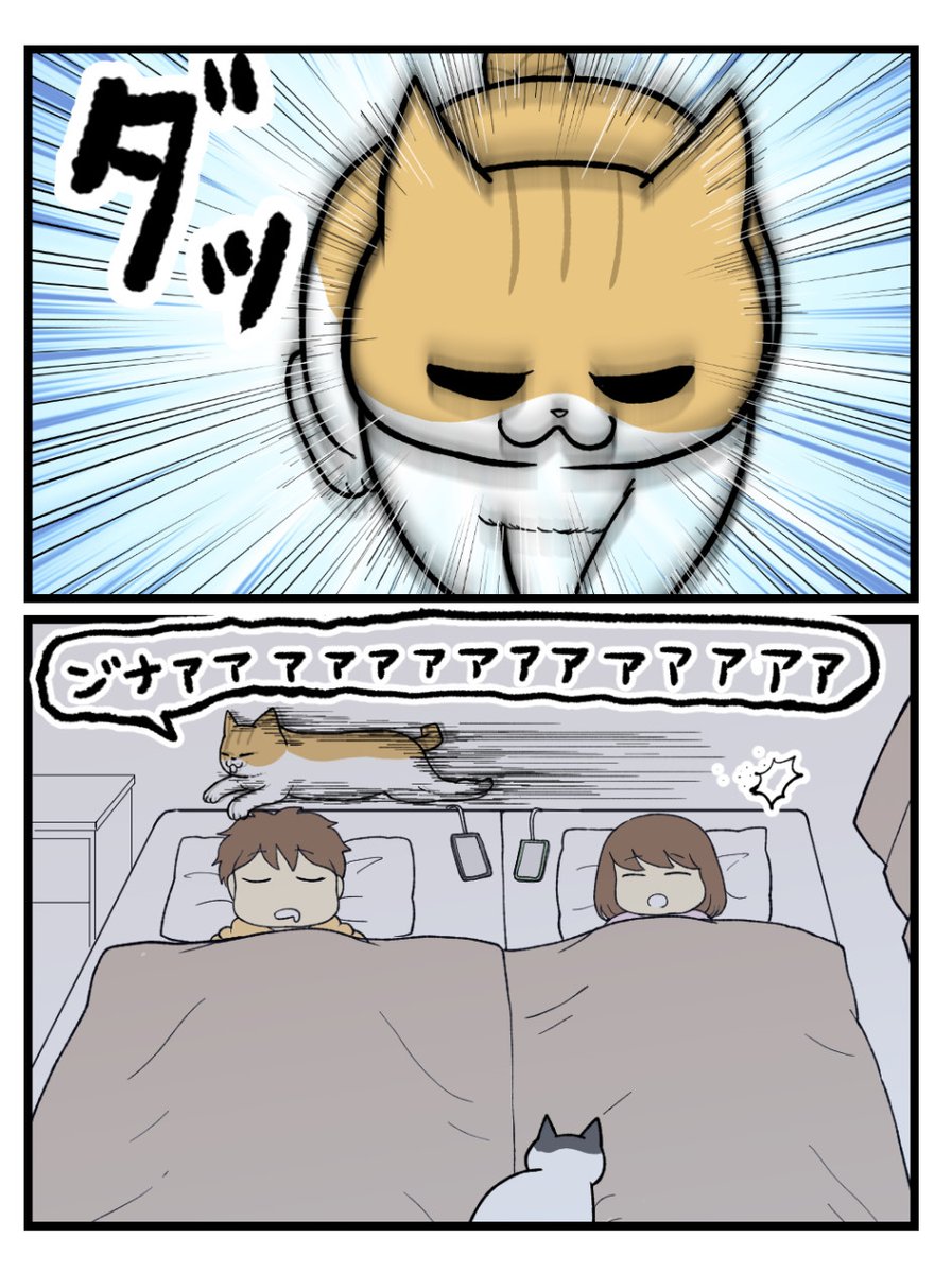 (2/2) 