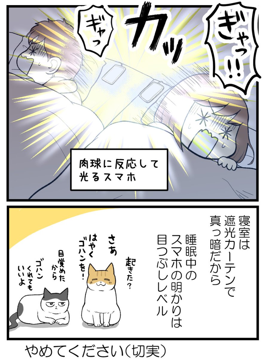 (2/2) 