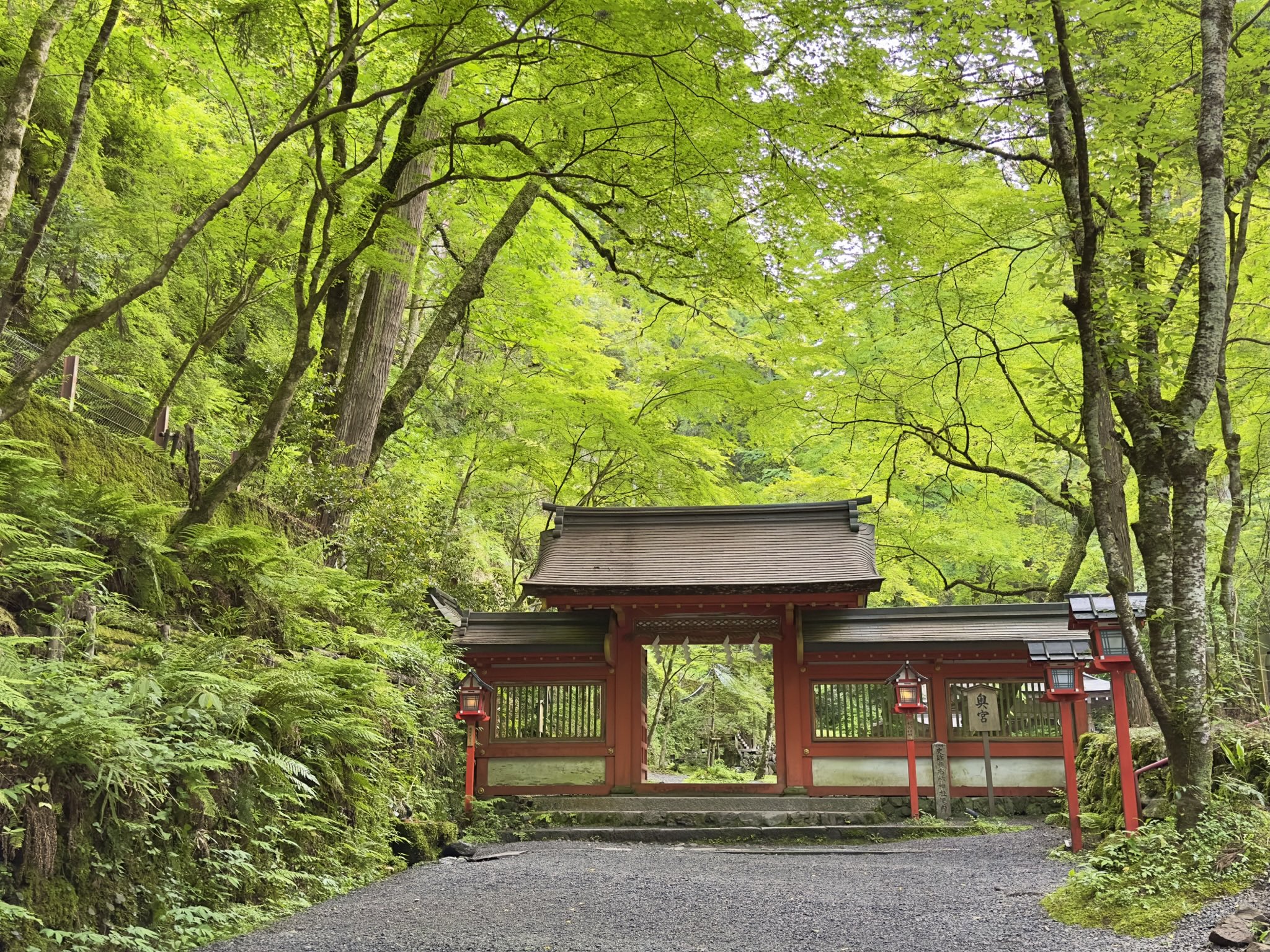 Amazon.co.jp: 日本の神社 83号 (貴船神社・梅宮大社・愛宕神社