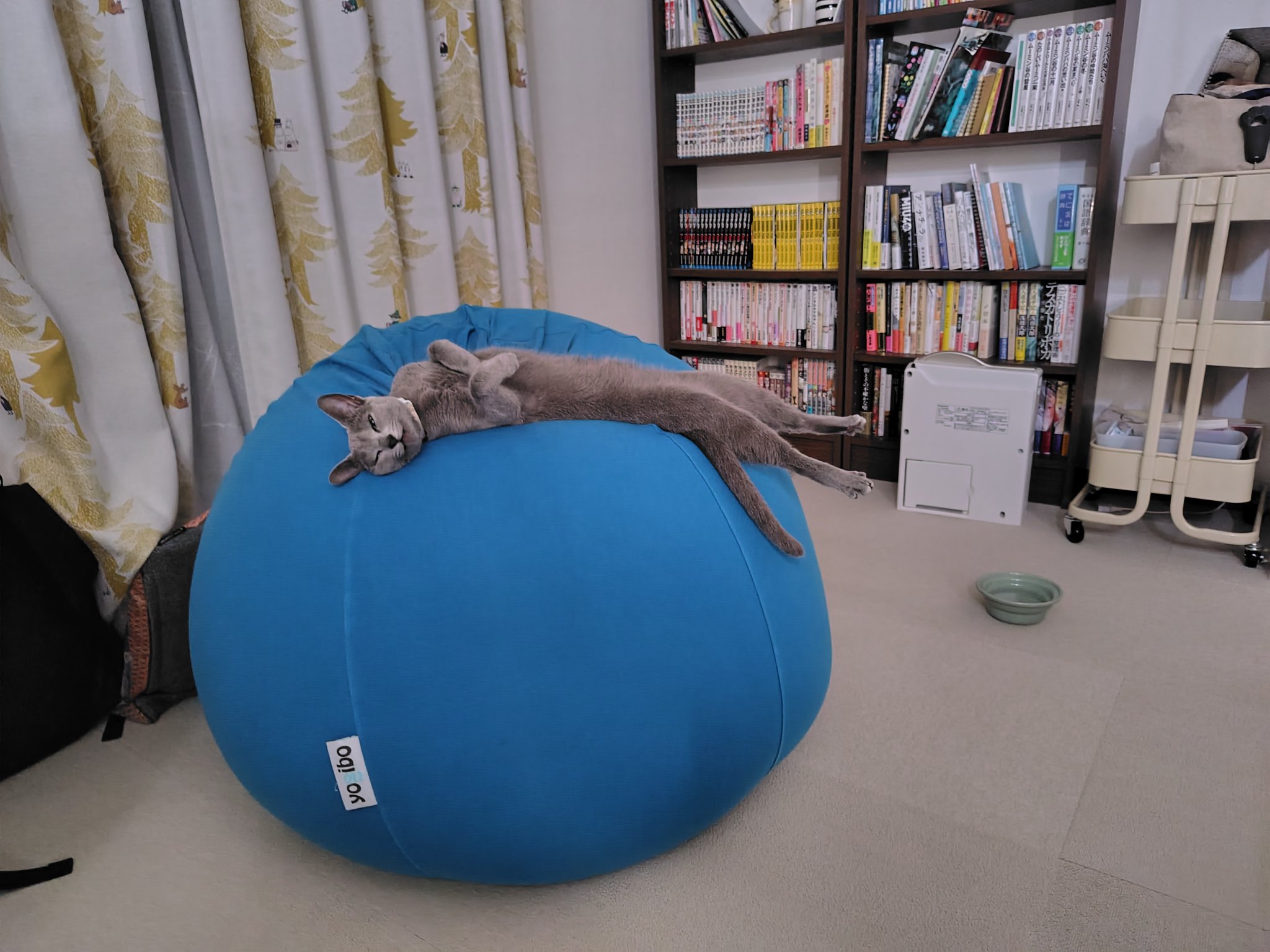 siesta (@20siesta) / X