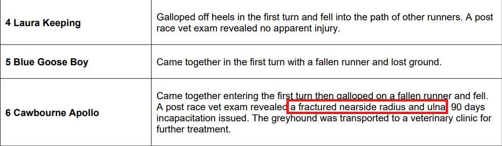 susanamet's tweet photo. *** usual warnings ***

Wentworth Park (NSW) last night, 2 greyhounds fell - 2 year old "Laura Keeping" and 3 year old "Cawbourne Apollo" (no 6 green) who suffered a fractured nearside radius &amp; ulna. 90 days if they don't kill him

ENOUGH!
SHUT IT DOWN

#bangreyhoundracing https://t.co/y20LJ2lC1P