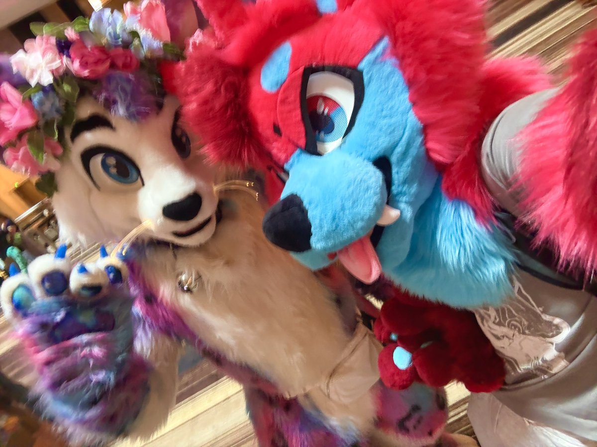 one day i wish to be interviewed by <a href="/Astra_The_Kitty/">Astra</a> 🥺🥺🥺