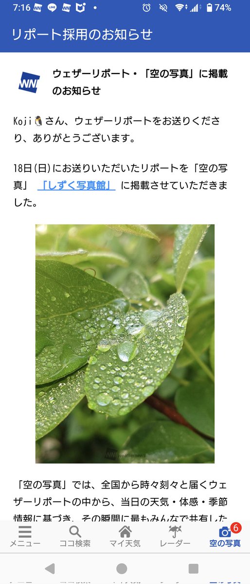 しずくリポート、トップで採用頂けました😊　選んで下さったスタッフさん、ありがとうございました✨
皆様、素敵な日曜日をお過ごし下さい。

#ウェザーニュース
#「しずく写真館」