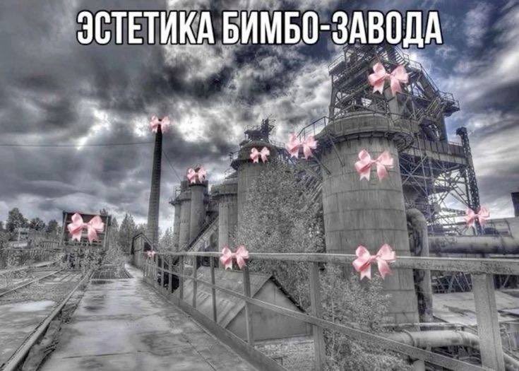 serd_echko's tweet photo. насколько проще было жить работая у мамы в магазине каждое лето а не в лабе на промзоне https://t.co/j5F78nacsW