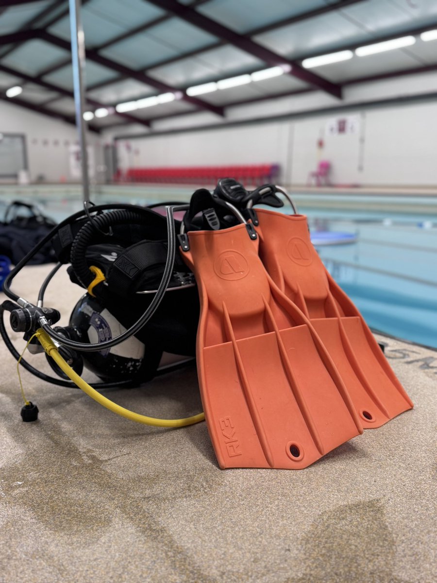 SEPE Diving tweet media