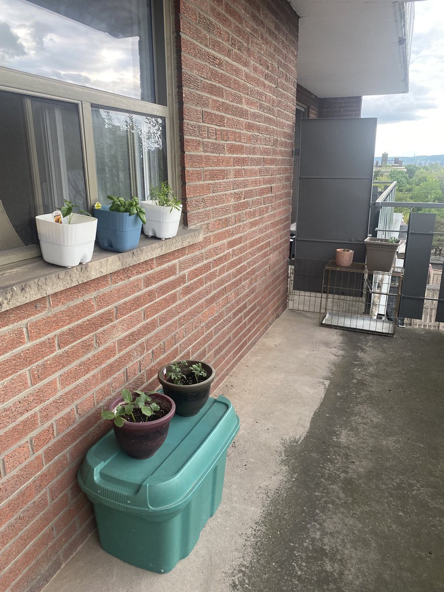 Hamish in Hamilton 🦴🐾🇨🇦 tweet media