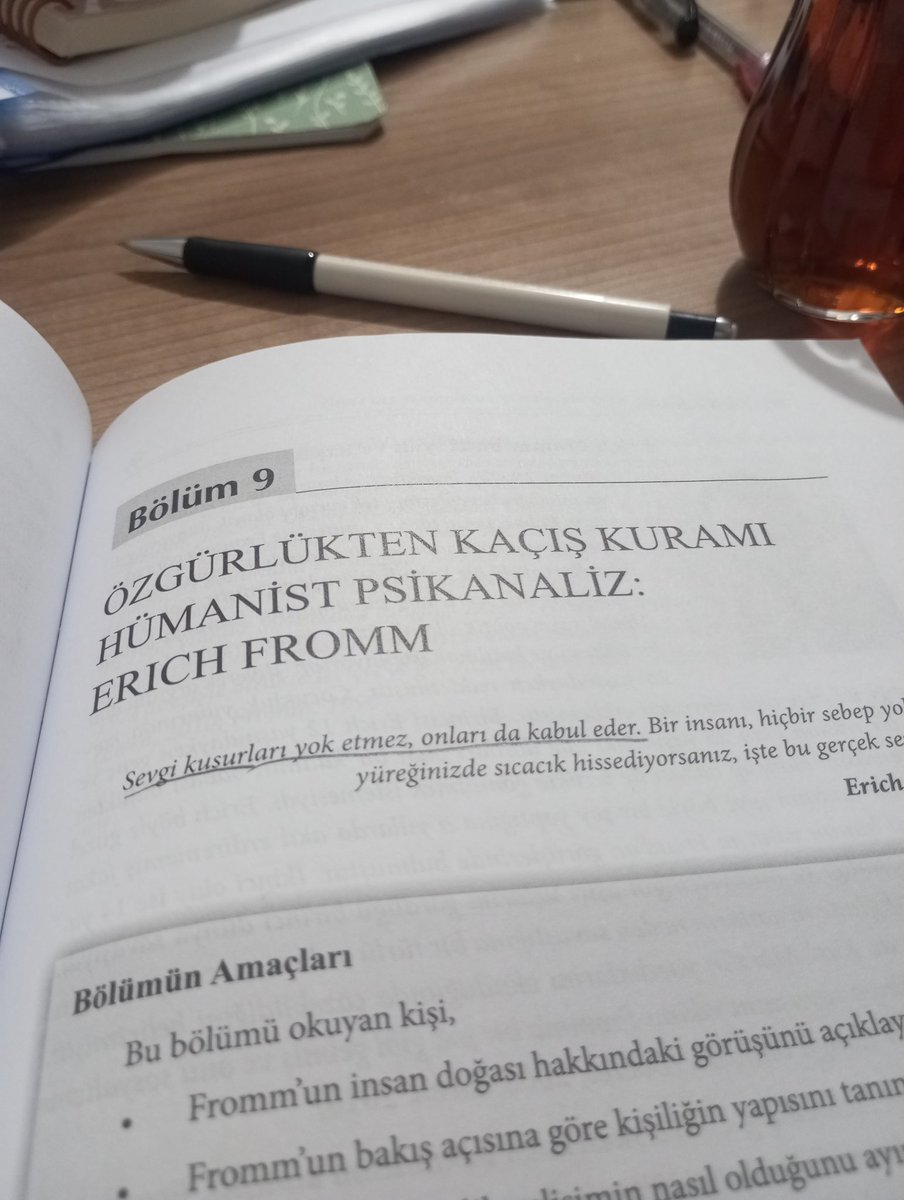 Ama bu şekilde ilerleyemem kii...