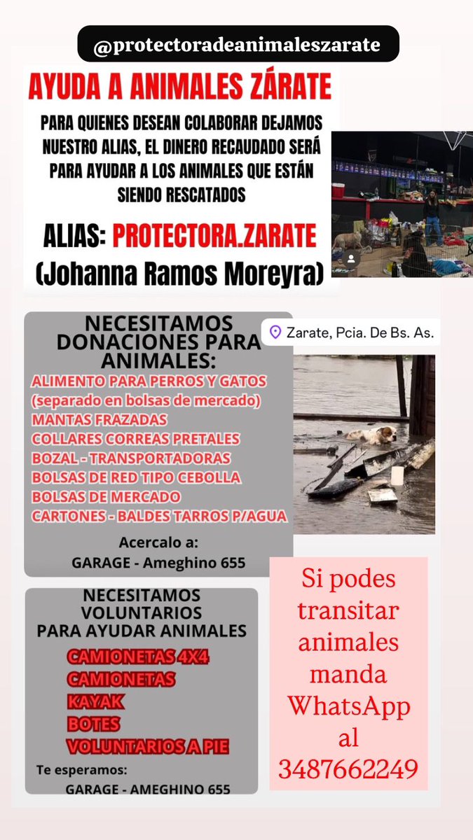 <a href="/RealTimeRating/">Real Time</a> ESTÁN COLAPSADOS NECESITAN TRÁNSITOS !! Difundan por favor o colaboren con lo que puedan, es urgente 😭‼️🙏