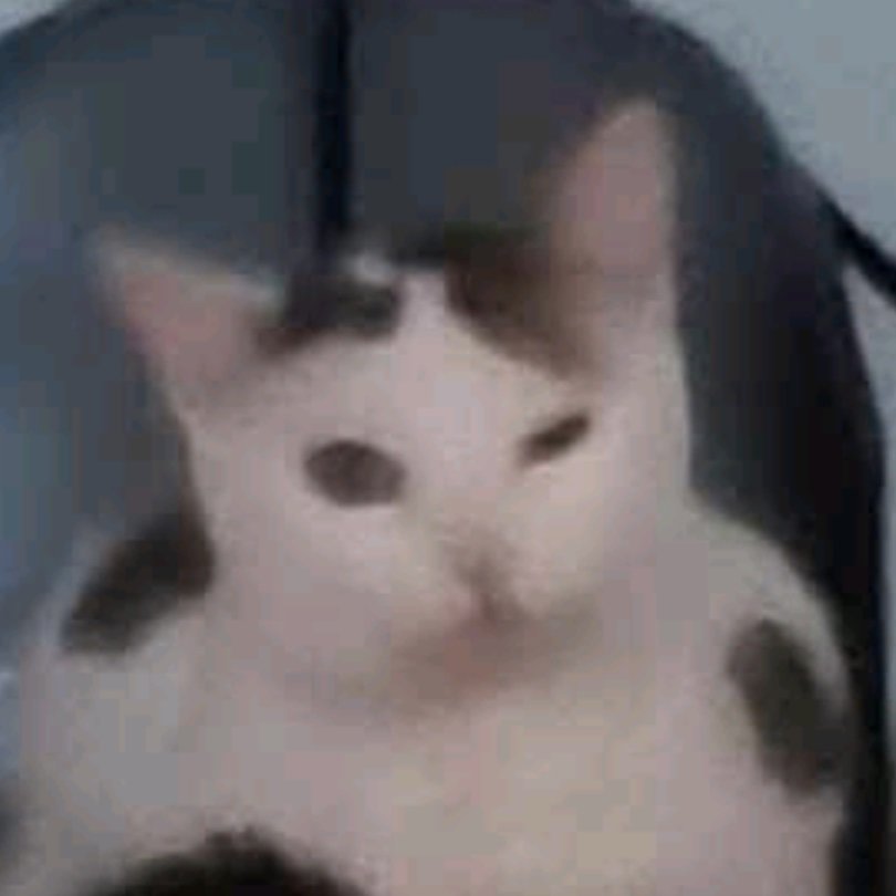 Ngl, gdyby ten skrót był normalny, to mogło być lepiej. ;)

#eurowizja2025 #Eurowizja