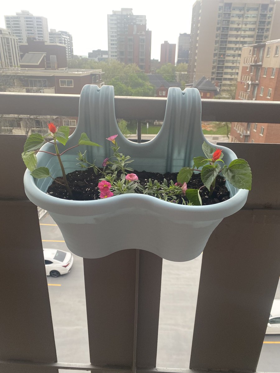 Hamish in Hamilton 🦴🐾🇨🇦 tweet media