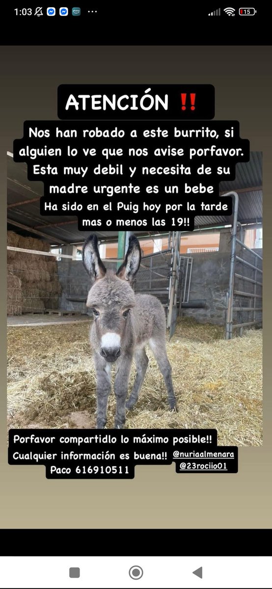 Marina Hijosa Rayaces (@hijosarayace) on Twitter photo MUY URGENTE, HAY QUE ENCONTRAR A ESTE BEBÉ ‼️AYUDA Y MÁXIMA DIFUSIÓN, POR FAVOR ‼️🙏🏻🥺🐾
<a href="/4catsVLC/">4cats</a> <a href="/amaregar/">AmaregarDefensoraAnimalista, EcoFeminista</a> <a href="/Boni_Boni31/">Boni31</a> <a href="/BurkManuela/">Manu Burk.</a> <a href="/Erta2017/">Erta</a> <a href="/OpenEye95053629/">Open 🐕💕🐈🌳🦋</a> <a href="/Olga03471239/">Olgaanimalistadifunde.Cerrado por un tiempo 🙏💚</a> <a href="/HMalaguenas/">HUELLAS MALAGUEÑAS🐶🐺</a> <a href="/isagato62/">isabel esteve</a> <a href="/jacamp98/">🕸Merce Palao Ganga</a> <a href="/Lobo_maltes/">José Exposito</a> <a href="/lolorubio42/">lolo rubio</a> <a href="/almanimal2019/">KARMA</a> <a href="/Marisa84157935/">Marisa</a> <a href="/SilviaMylo/">silvia mensegar</a> MUY URGENTE, HAY QUE ENCONTRAR A ESTE BEBÉ ‼️AYUDA Y MÁXIMA DIFUSIÓN, POR FAVOR ‼️🙏🏻🥺🐾
<a href="/4catsVLC/">4cats</a> <a href="/amaregar/">AmaregarDefensoraAnimalista, EcoFeminista</a> <a href="/Boni_Boni31/">Boni31</a> <a href="/BurkManuela/">Manu Burk.</a> <a href="/Erta2017/">Erta</a> <a href="/OpenEye95053629/">Open 🐕💕🐈🌳🦋</a> <a href="/Olga03471239/">Olgaanimalistadifunde.Cerrado por un tiempo 🙏💚</a> <a href="/HMalaguenas/">HUELLAS MALAGUEÑAS🐶🐺</a> <a href="/isagato62/">isabel esteve</a> <a href="/jacamp98/">🕸Merce Palao Ganga</a> <a href="/Lobo_maltes/">José Exposito</a> <a href="/lolorubio42/">lolo rubio</a> <a href="/almanimal2019/">KARMA</a> <a href="/Marisa84157935/">Marisa</a> <a href="/SilviaMylo/">silvia mensegar</a>