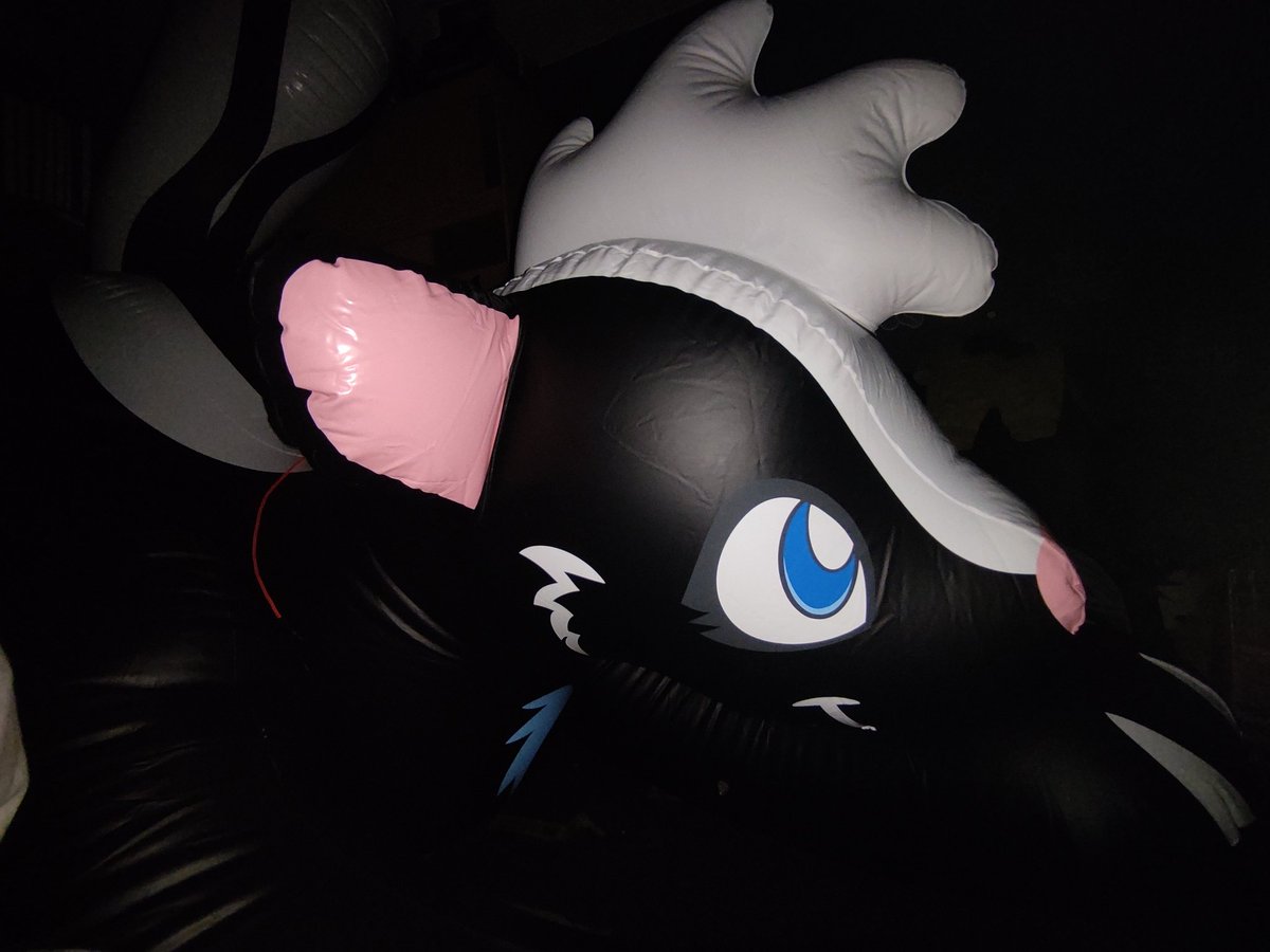 I miss this cutie so much QwQ
#pooltoys #squeaks #inflatable